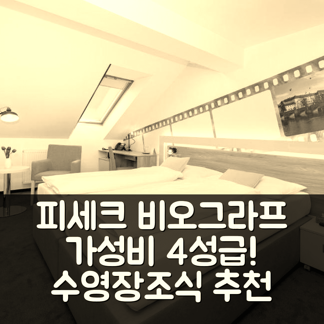피세크 숙소 여행 호텔 추천 호텔 비오그라프 | 가성비 뛰어난 4성급 조식과 수영장 5가지 장점