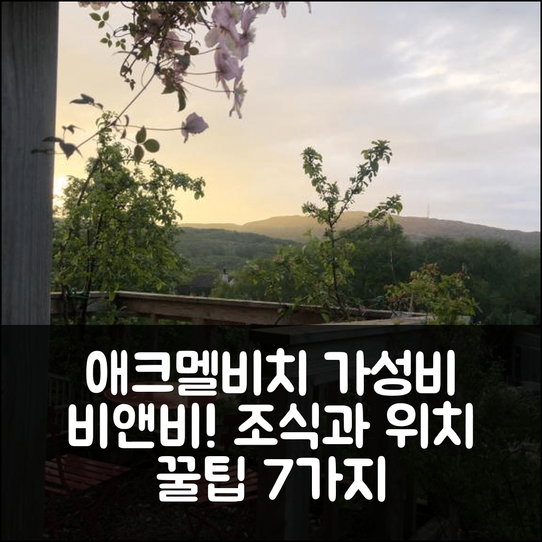 애크멜비치 숙소 여행 호텔 추천 아드모어 하우스 비앤비 | 가성비 뛰어난 조식과 위치 정보 7가지 팁