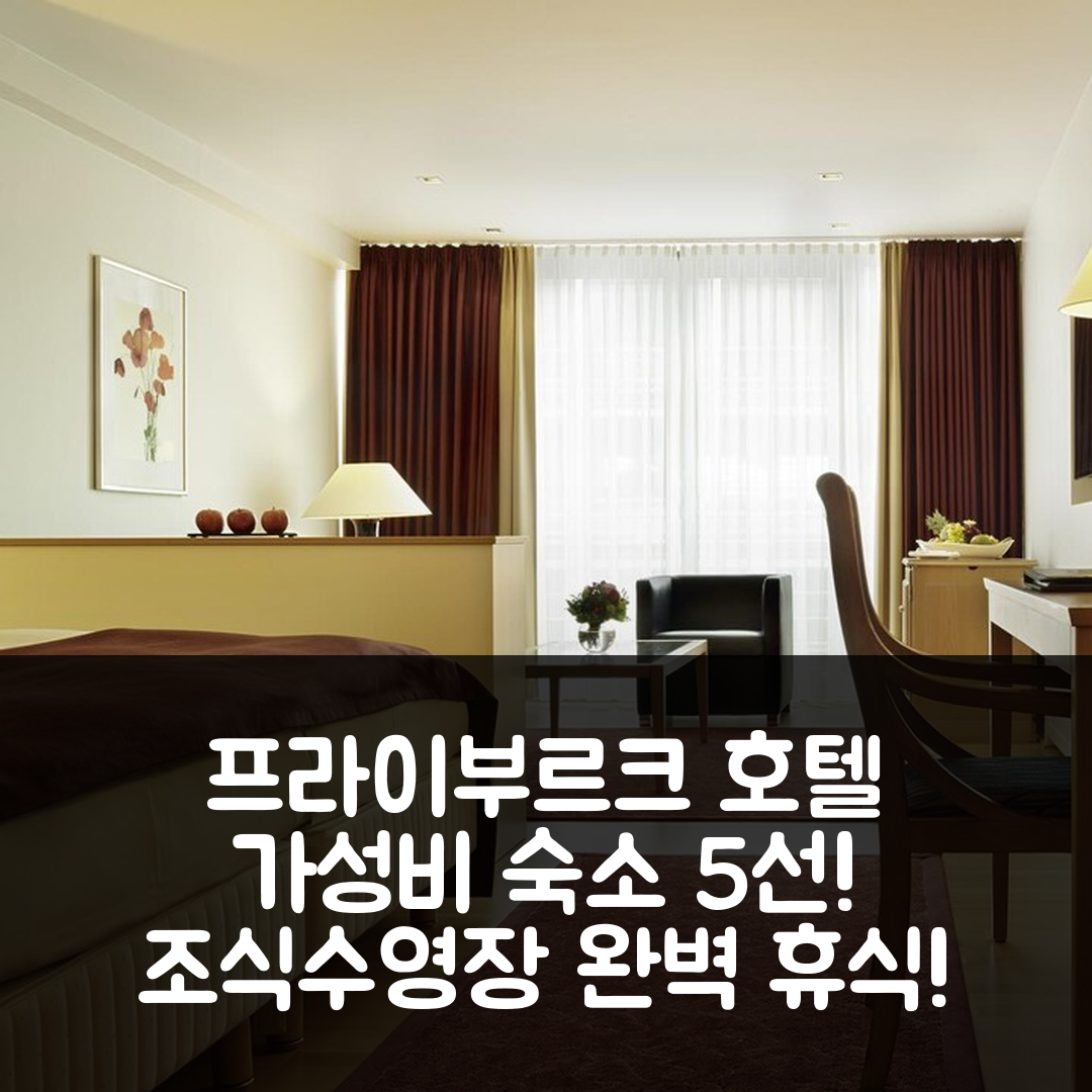 프라이부르크 숙소 여행 호텔 추천 슈타트 프라이부르크 호텔 | 가성비와 조식, 수영장으로 즐기는 완벽한 휴식지 5가지 팁