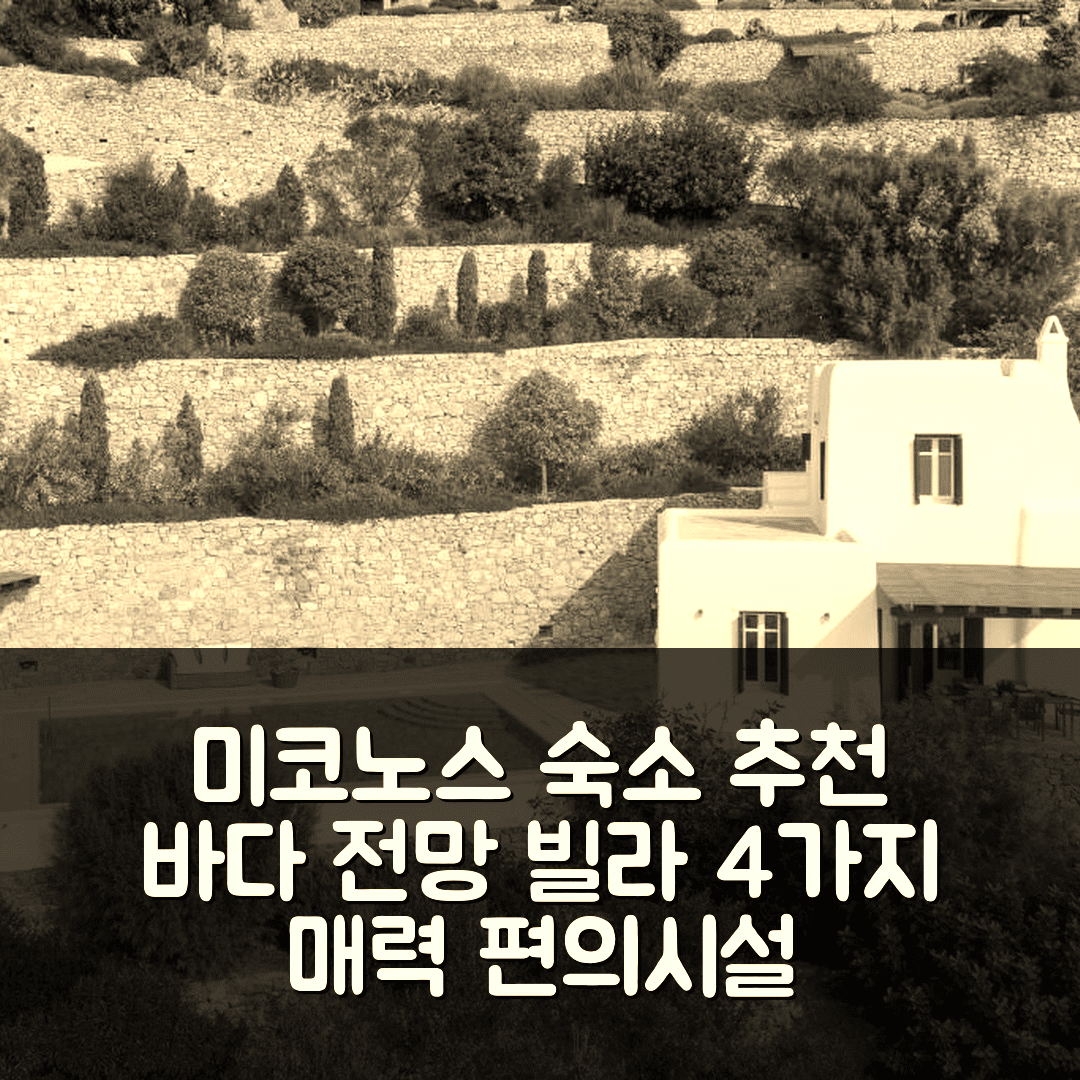 미코노스 숙소 여행 호텔 추천 엑설런트 미코노스 빌라 | 바다 전망과 4가지 매력적인 편의시설