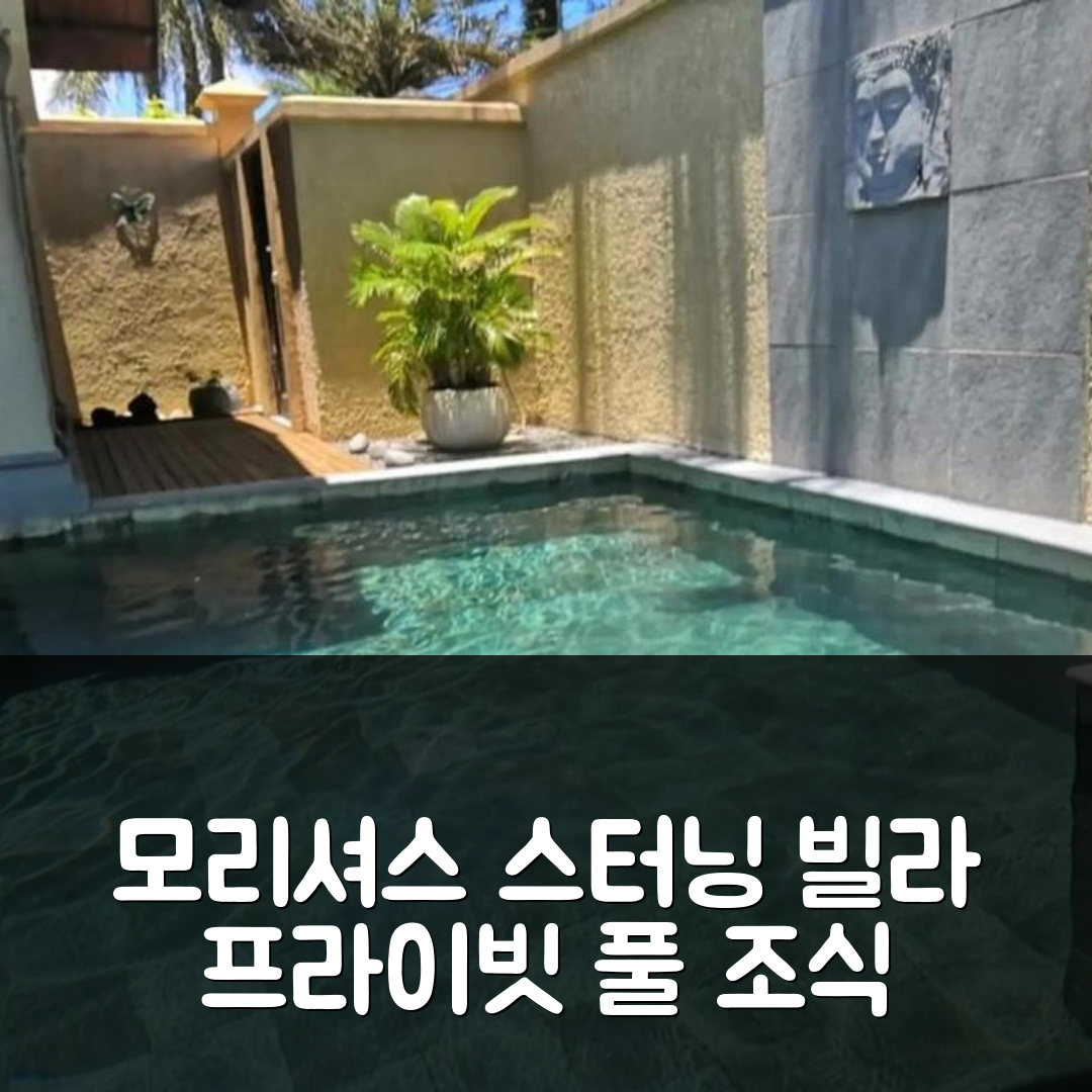 모리셔스 숙소 여행 호텔 추천 스터닝 빌라 그랜드 바이 | 프라이빗 풀과 조식으로 완벽한 7가지 이유