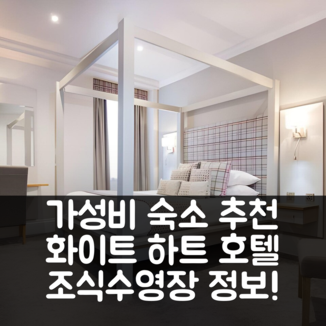 헤로게이트 숙소 여행 호텔 추천 화이트 하트 호텔 앤 아파트먼트 | 가성비 좋은 3성급 조식과 수영장 정보 5가지