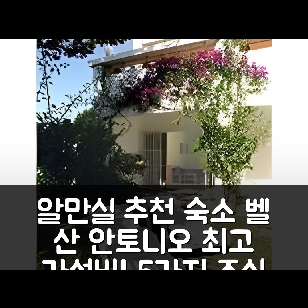 알만실 숙소 여행 호텔 추천 벨 산 안토니오 아파트 | 가성비 뛰어난 위치와 조식 정보 5가지