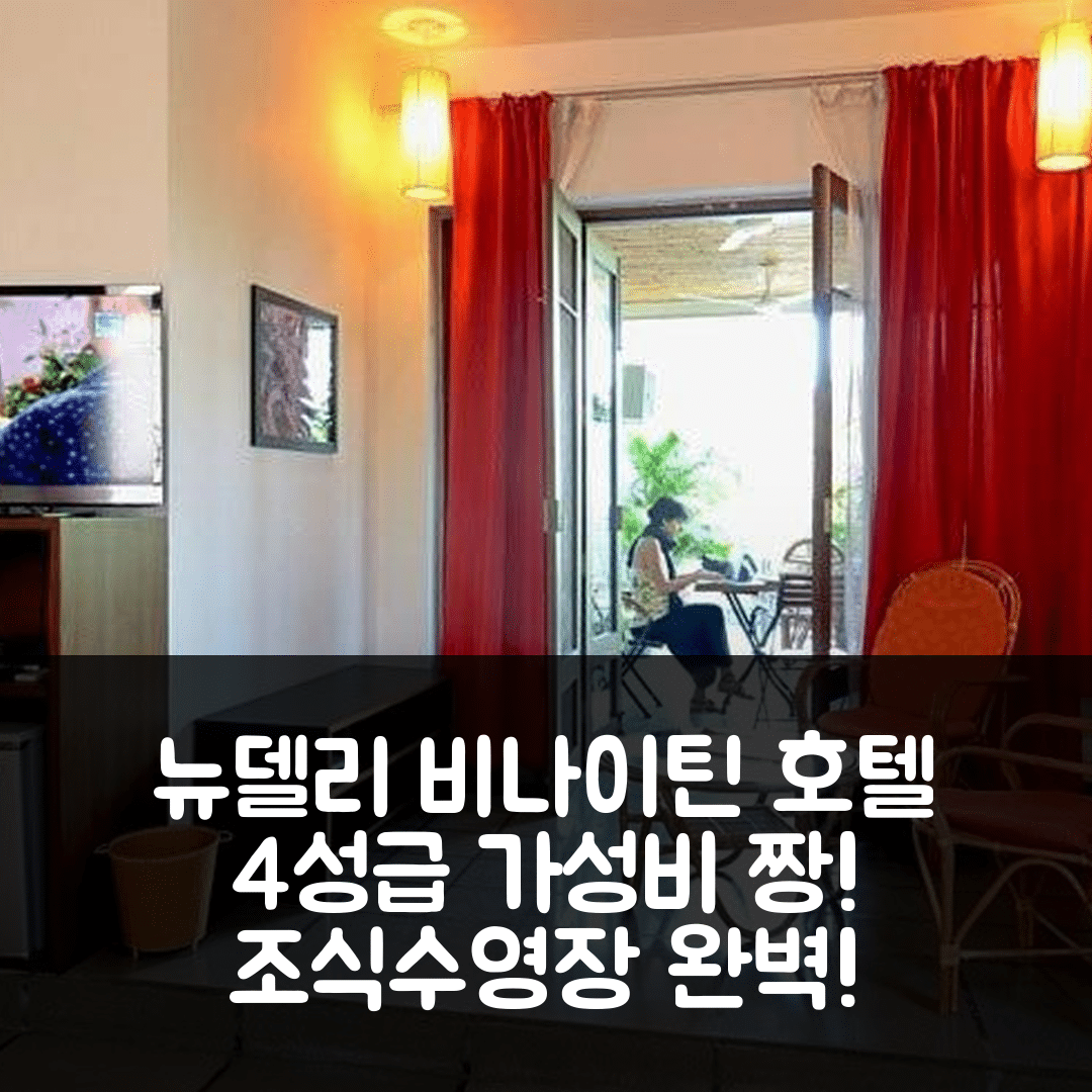 뉴델리 숙소 여행 호텔 추천 비나이틴 호텔 | 가성비 뛰어난 4성급 조식과 수영장 정보 7가지