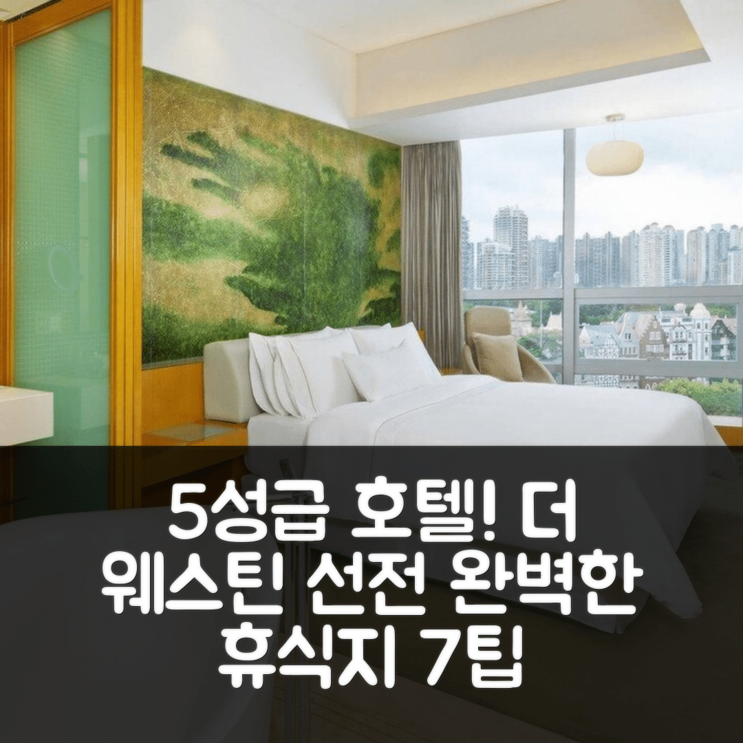 선전 숙소 여행 호텔 추천 더 웨스틴 선전 난산 | 5성급 조식과 수영장으로 완벽한 휴식지 7가지 팁