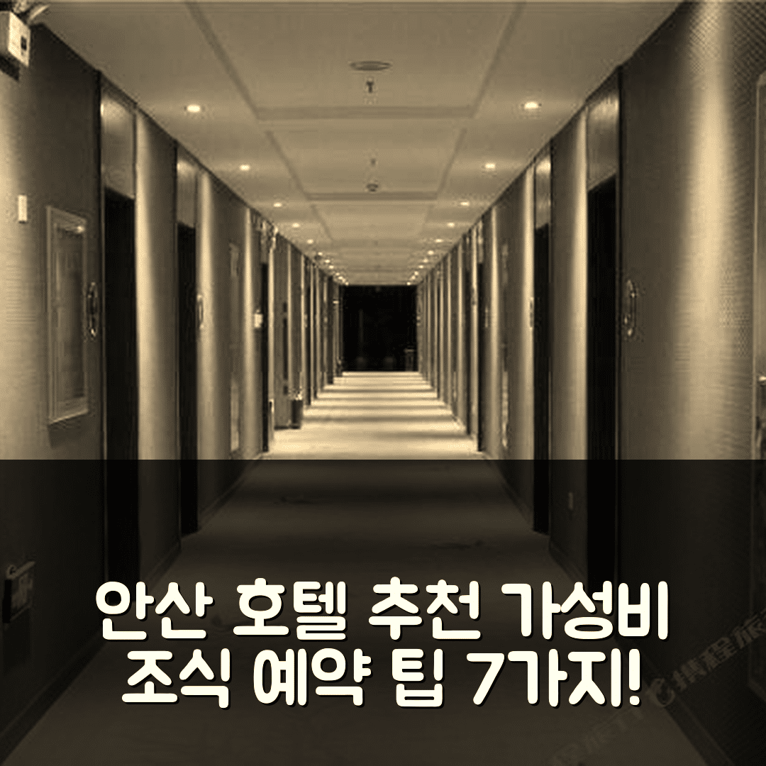 안산 숙소 여행 호텔 추천 텅아오 수조 플라자 | 조식과 가성비 뛰어난 예약 팁 7가지