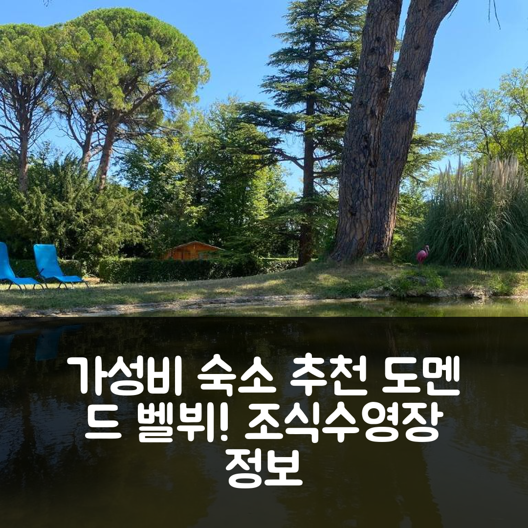 보므 드 브니스 숙소 여행 호텔 추천 도멘 드 벨뷔 샹브르 도트 | 3가지 가성비 조식과 수영장 정보