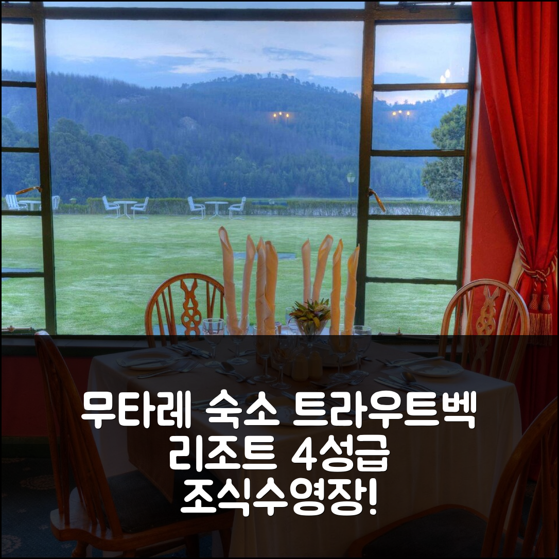 무타레 숙소 여행 호텔 추천 트라우트벡 리조트 || 4성급 조식과 수영장으로 즐길 수 있는 7가지 이유