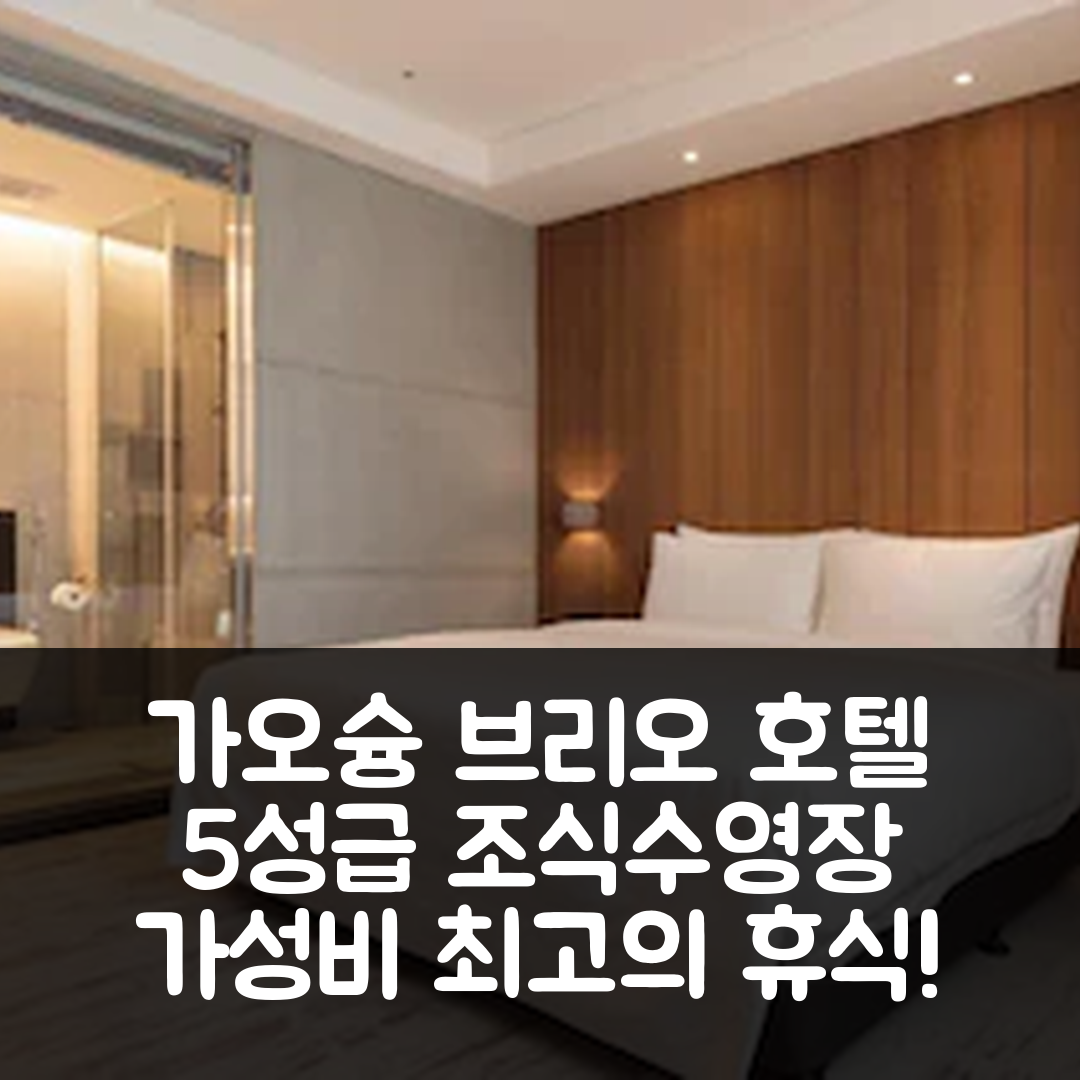 가오슝 숙소 여행 호텔 추천 브리오 호텔 | 5성급 조식과 수영장으로 즐기는 가성비 최고의 휴식 7가지 팁