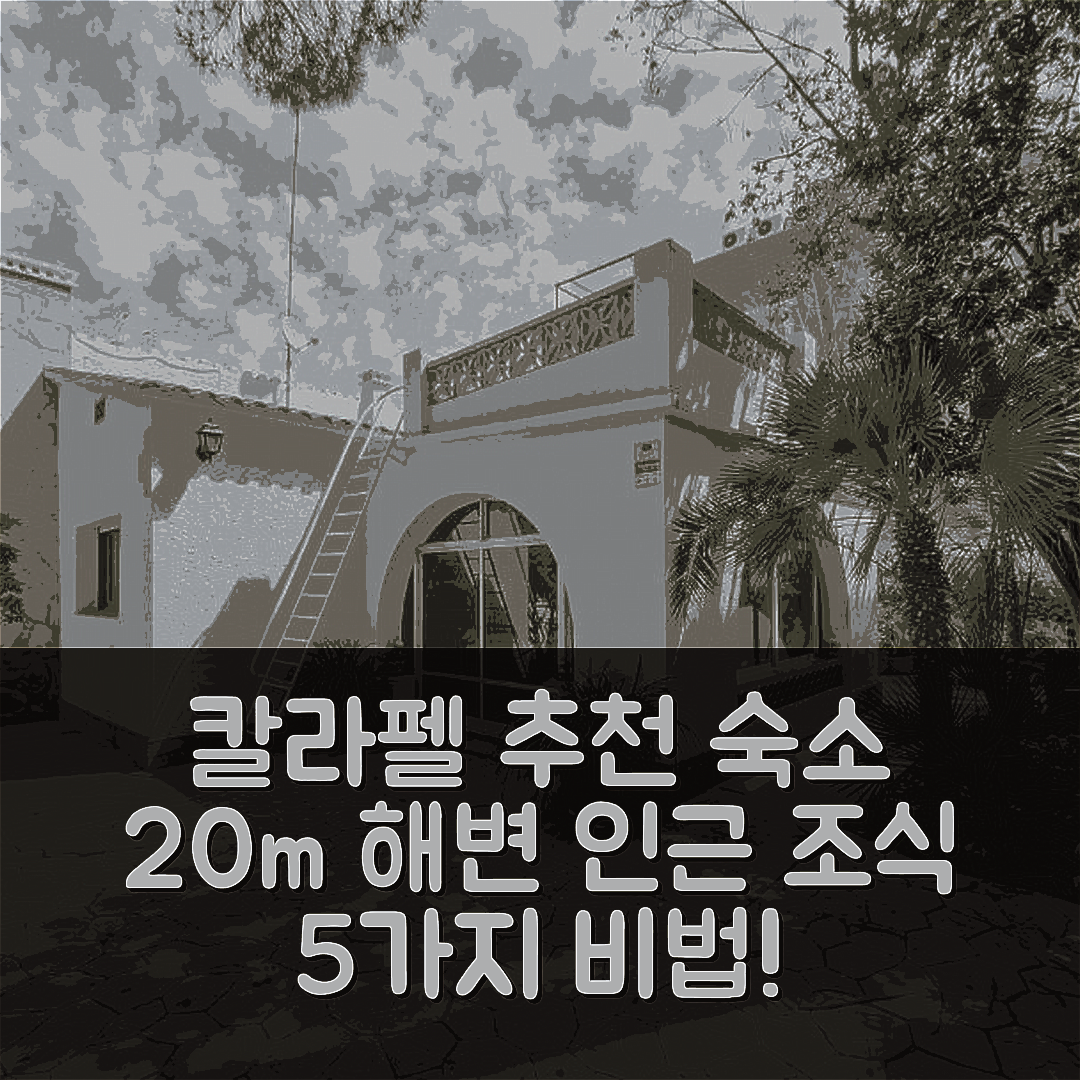 칼라펠 숙소 여행 호텔 추천 R94 샬레 돈지바 수영장 | 20m 해변 인근 가성비와 조식 5가지 비법