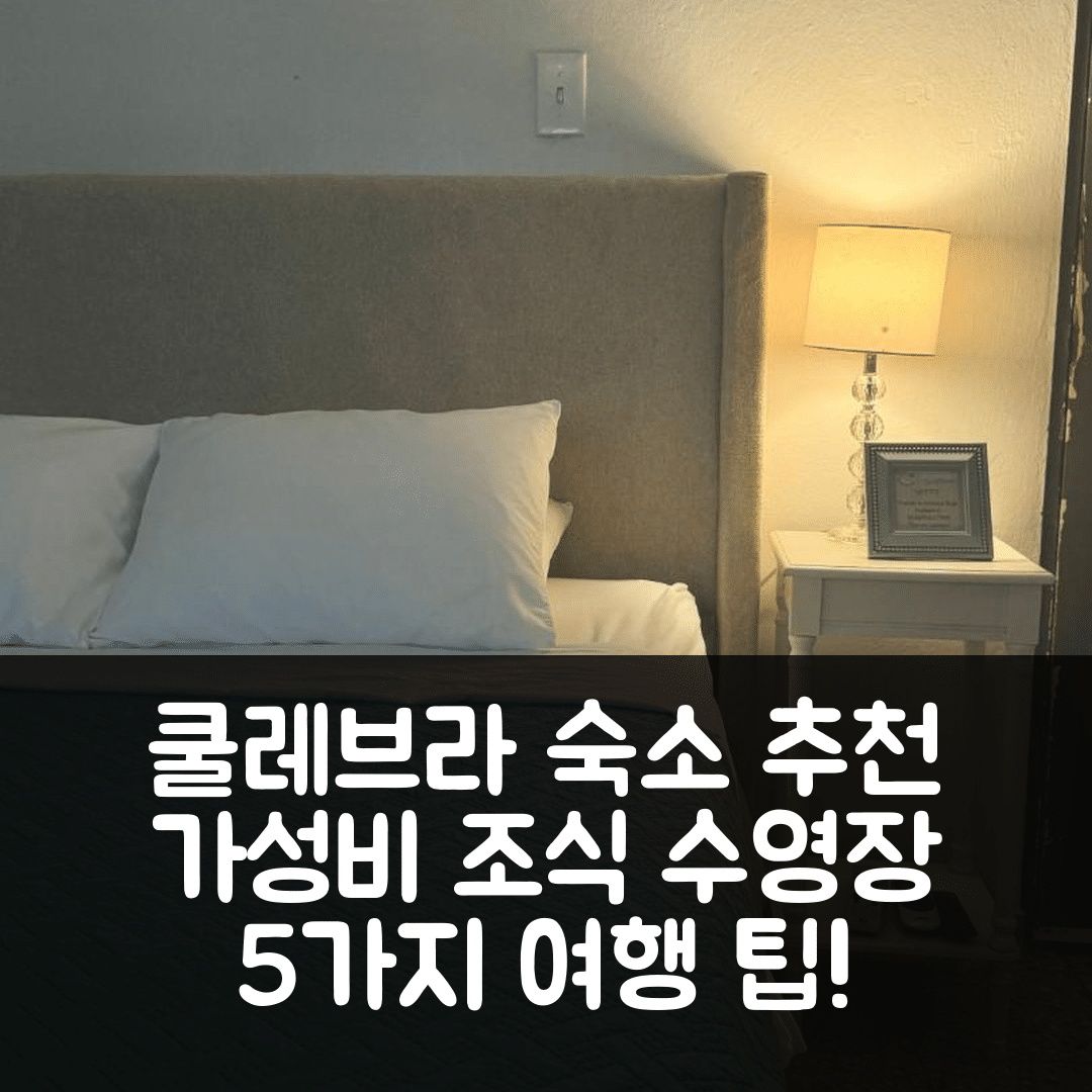 쿨레브라 숙소 여행 호텔 추천 포사다 라 아마카 | 가성비 좋은 조식과 수영장 위치 5가지 팁