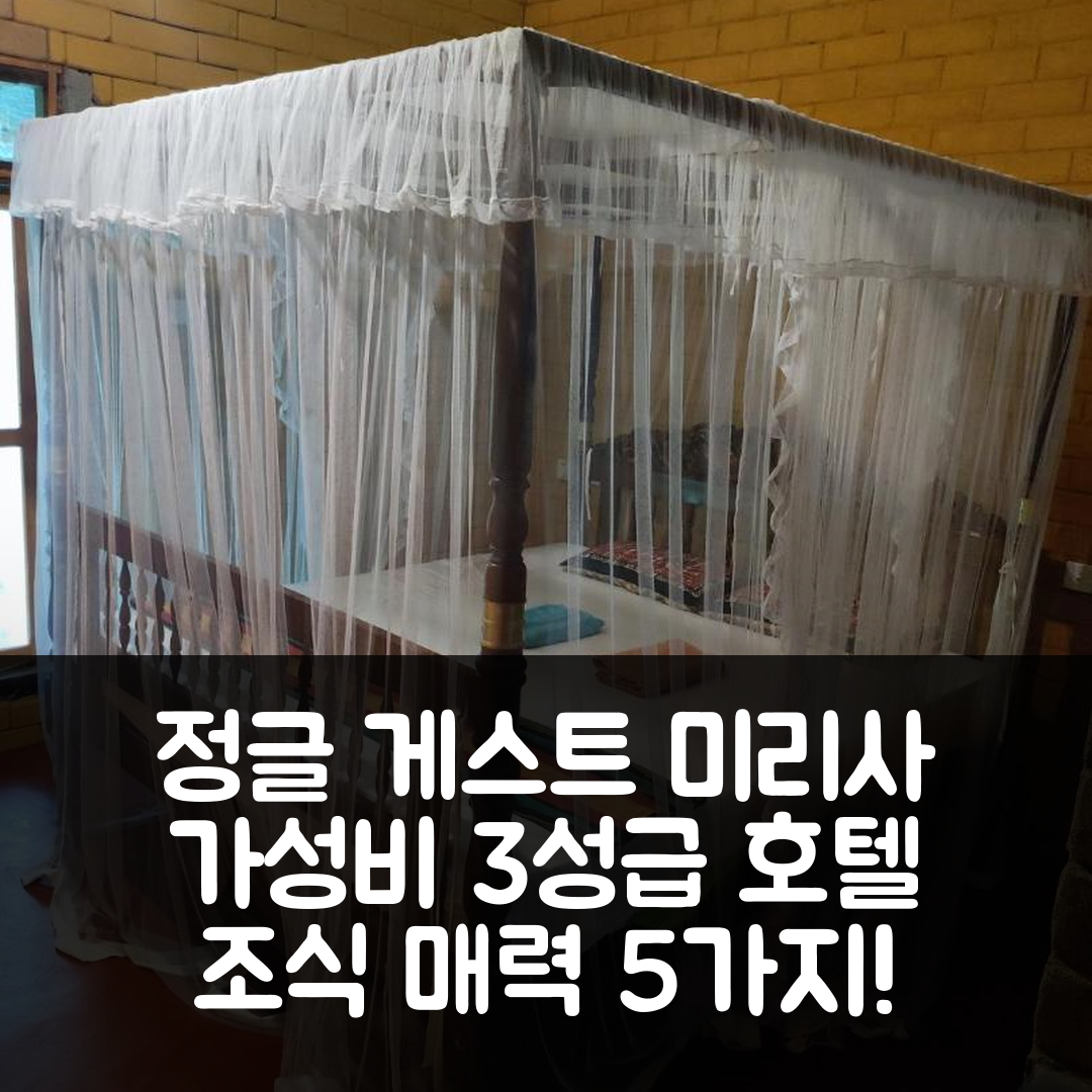 미리사 숙소 여행 호텔 추천 정글 게스트 미리사 | 가성비 뛰어난 3성급 위치와 조식 매력 5가지