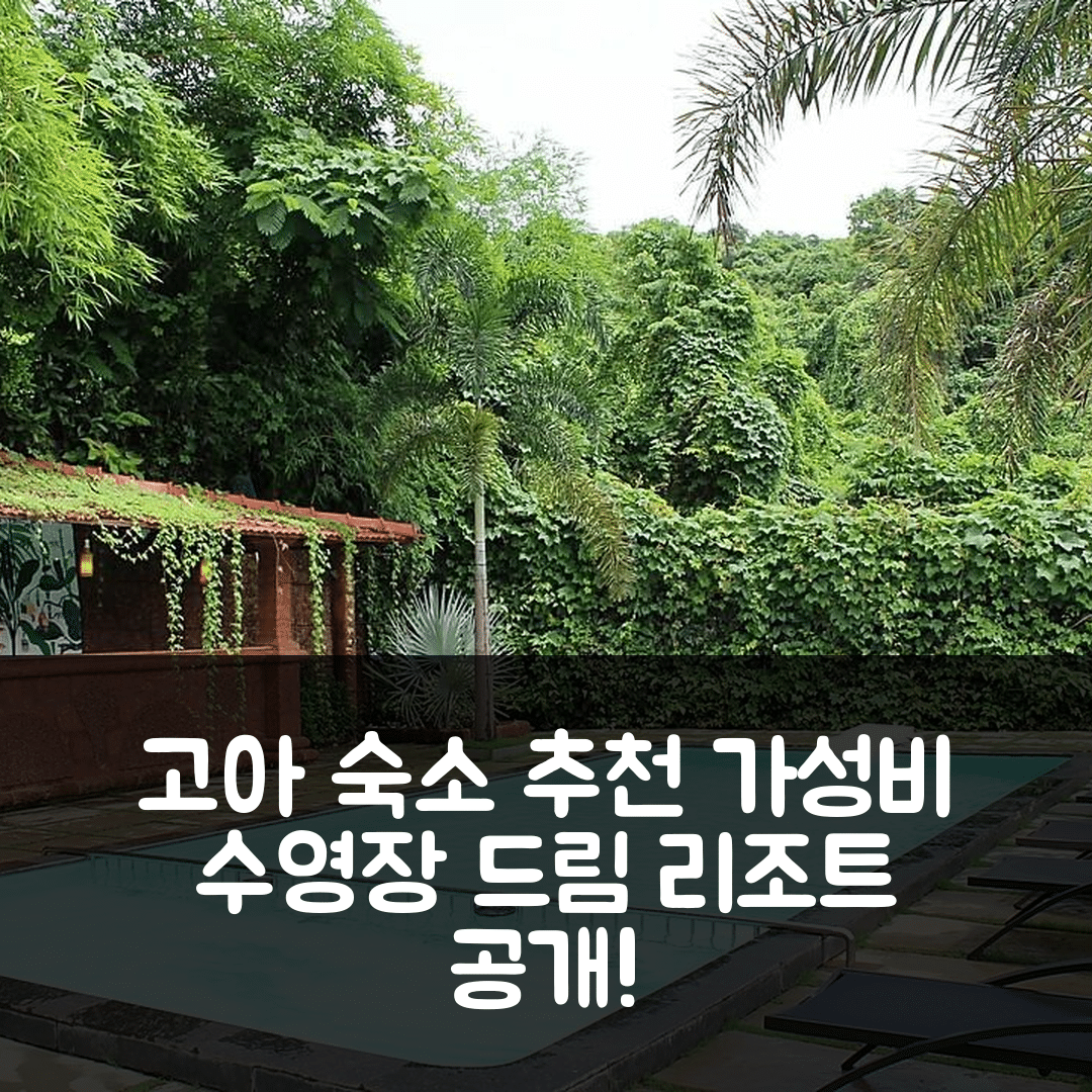 고아 숙소 여행 호텔 추천 트랜퀼리티 코티지 리조트 | 가성비와 수영장, 조식이 뛰어난 5가지 이유
